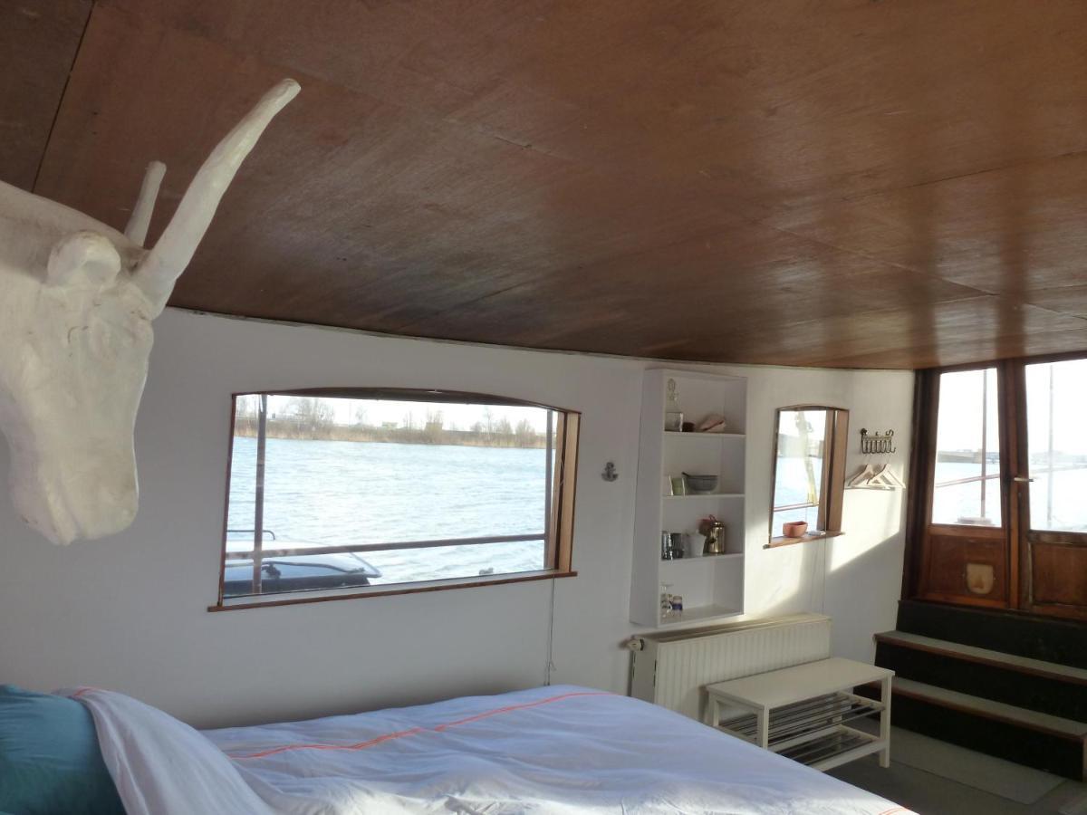 Bed In Boat Amsterdam Bed & Breakfast Ngoại thất bức ảnh