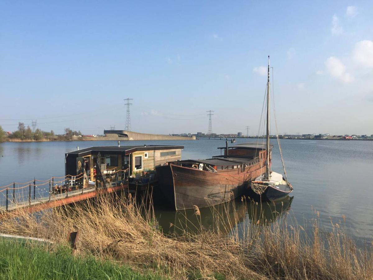 Bed In Boat Amsterdam Bed & Breakfast Ngoại thất bức ảnh