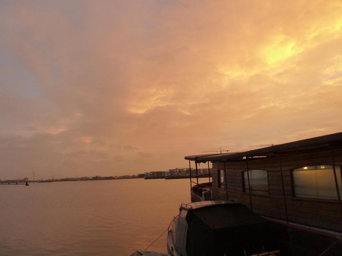 Bed In Boat Amsterdam Bed & Breakfast Ngoại thất bức ảnh